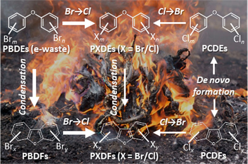 Formation of brominated, chlorinated and mixed halogenated diphenyl ethers and dibenzofurans during e-waste burning