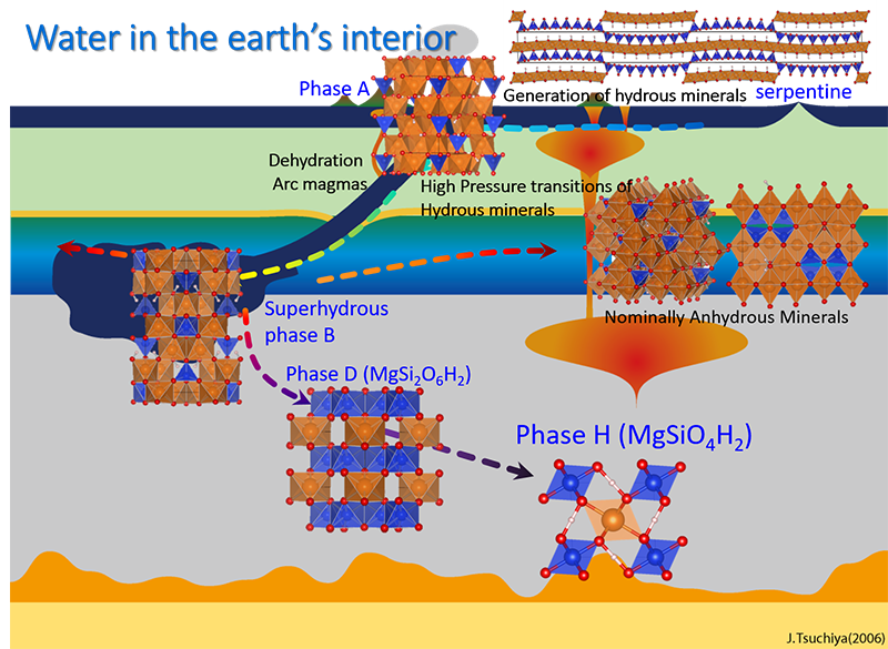 Hydrous minerals in the Earth’s interior