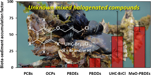 BSAFs of representative OHCs detected in the paired mussel and sediment samples.