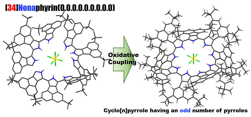 Selective Synthesis of Cyclo[9]pyrroles Based on an Oxidative Coupling