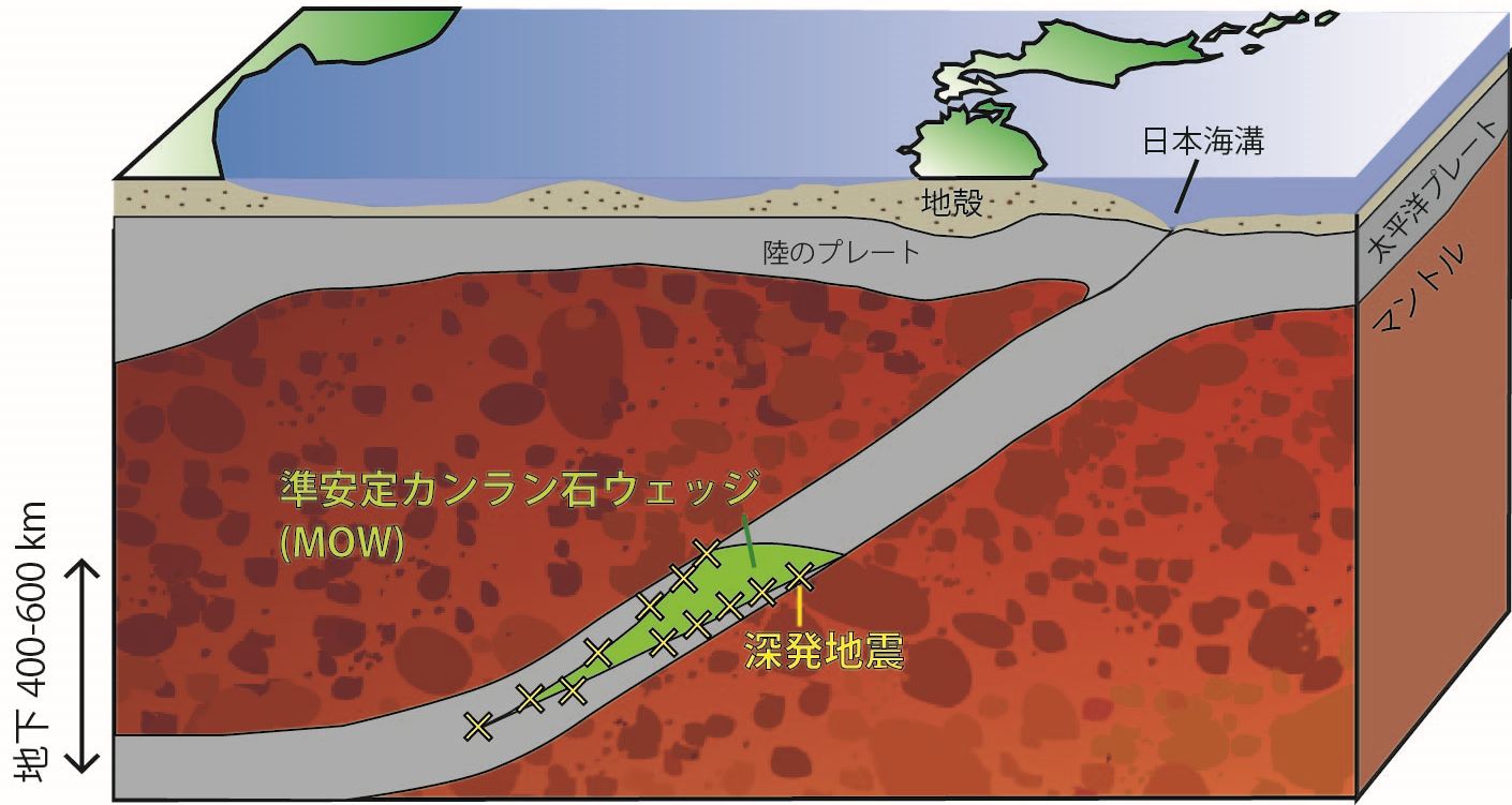日本列島下に沈み込むプレートと深発地震
