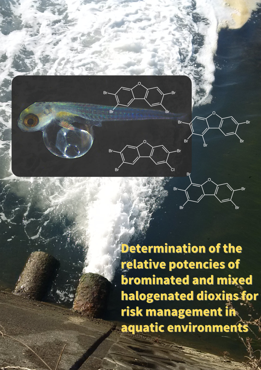 Brominated dioxins released into the environment through wastewater