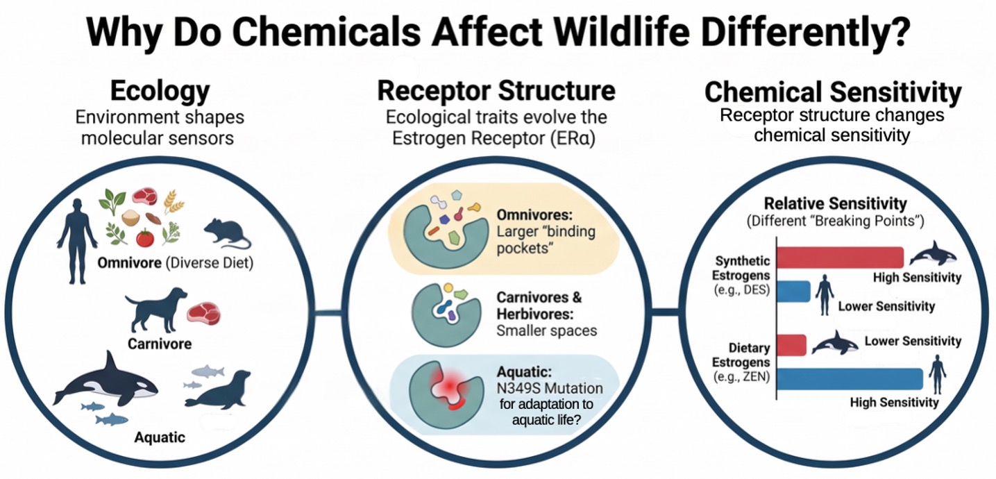 Why do animals react differently to chemicals?