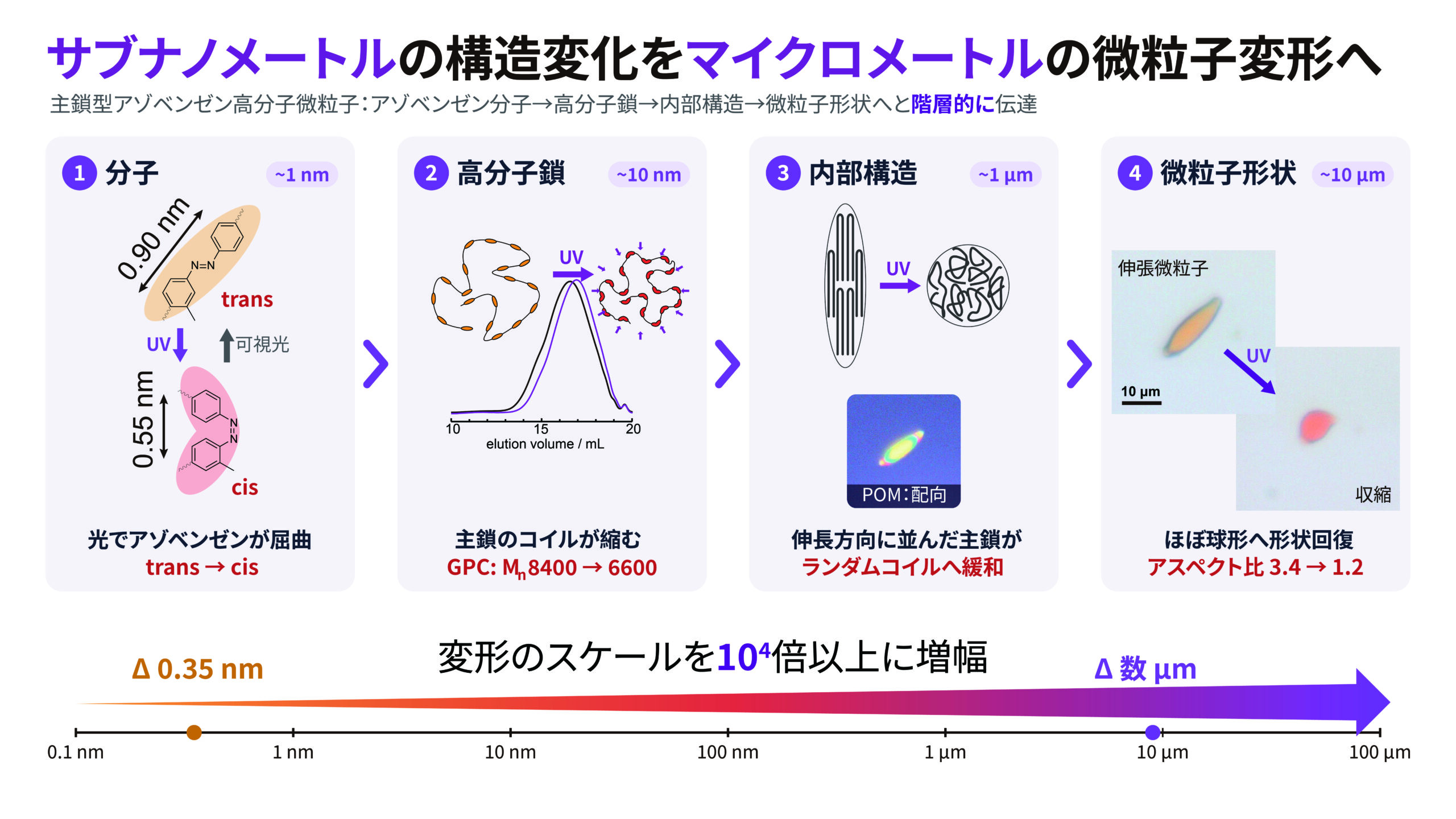 主鎖型アゾベンゼン高分子微粒子の動的階層構造変化